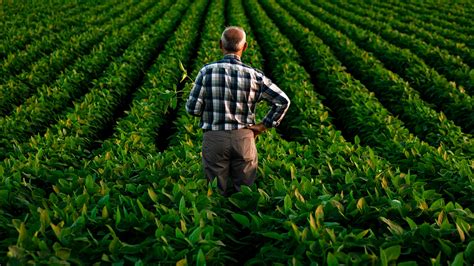 Strumenti di analisi del terreno agricolo 